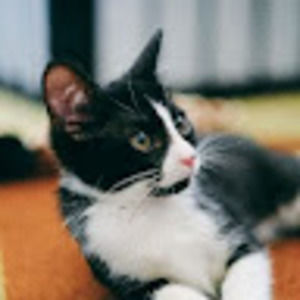 Meet your Posher, Thuy